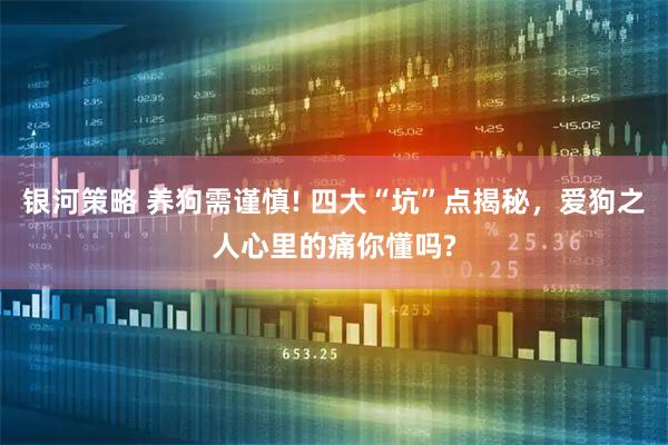 银河策略 养狗需谨慎! 四大“坑”点揭秘，爱狗之人心里的痛你懂吗?