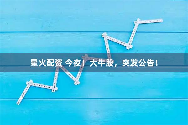 星火配资 今夜！大牛股，突发公告！