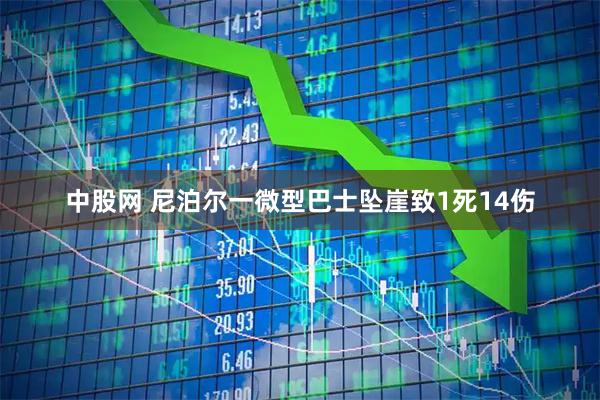 中股网 尼泊尔一微型巴士坠崖致1死14伤